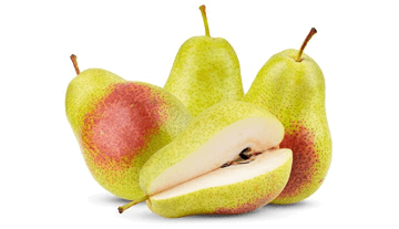 Rosmarie Pears