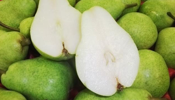 William Bon Chretien Pears